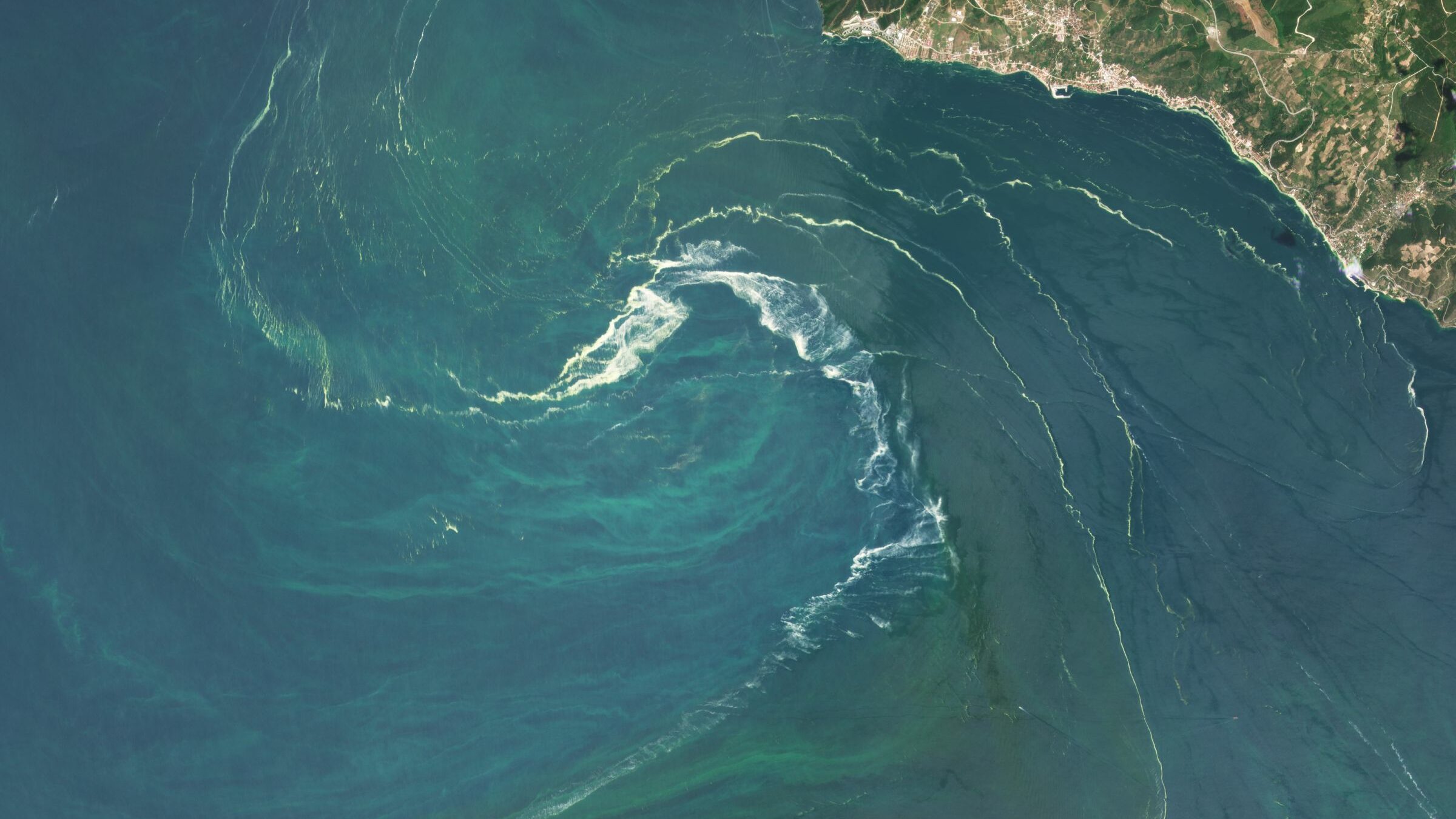 Satellitenbild von Phytoplankton im Marmarameer (Türkei); © Planet Labs